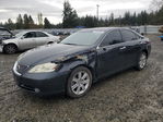 Lexus ES 2009