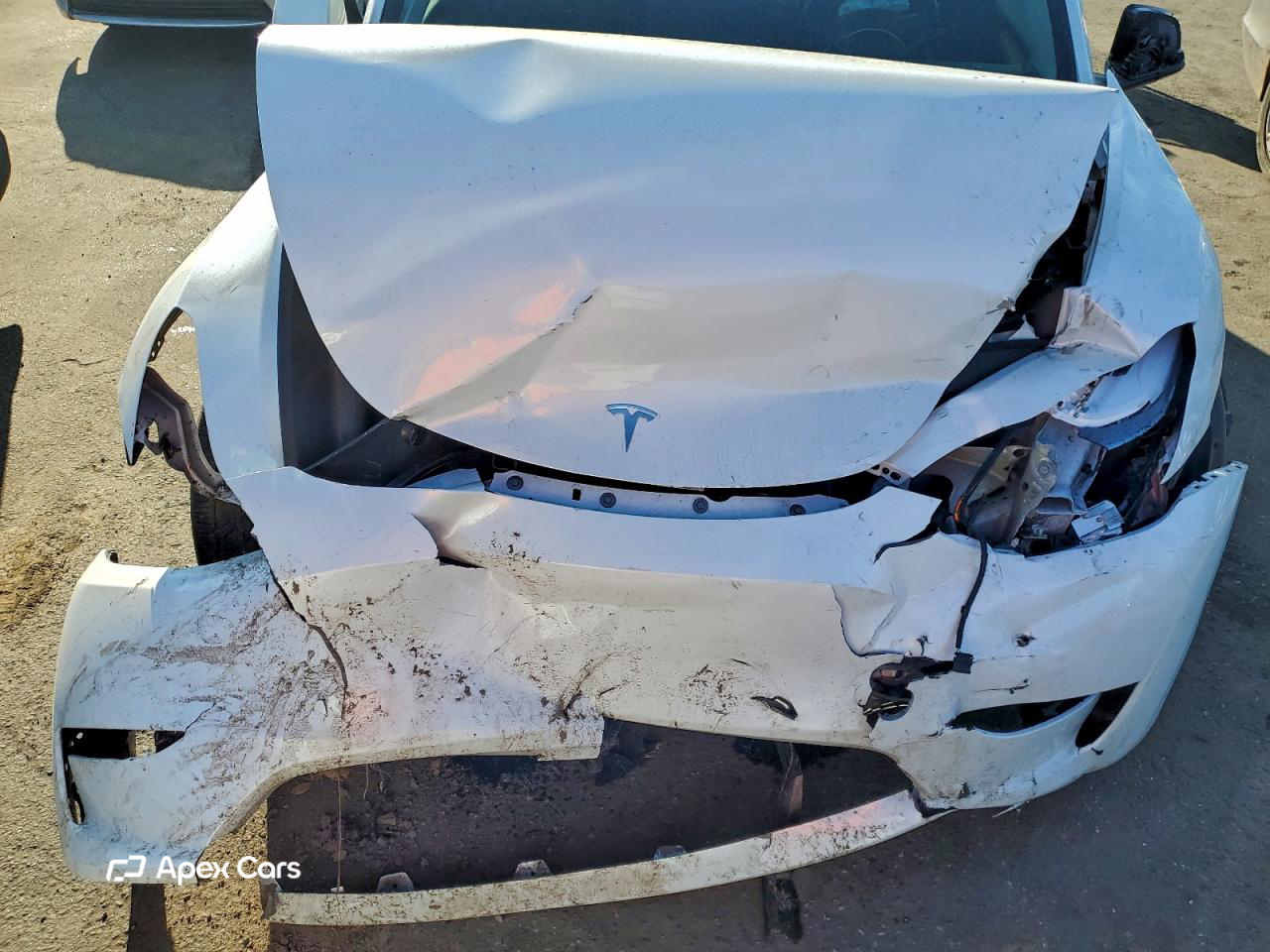 Tesla Model Y 2025
