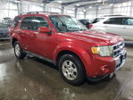 Ford Escape 2012