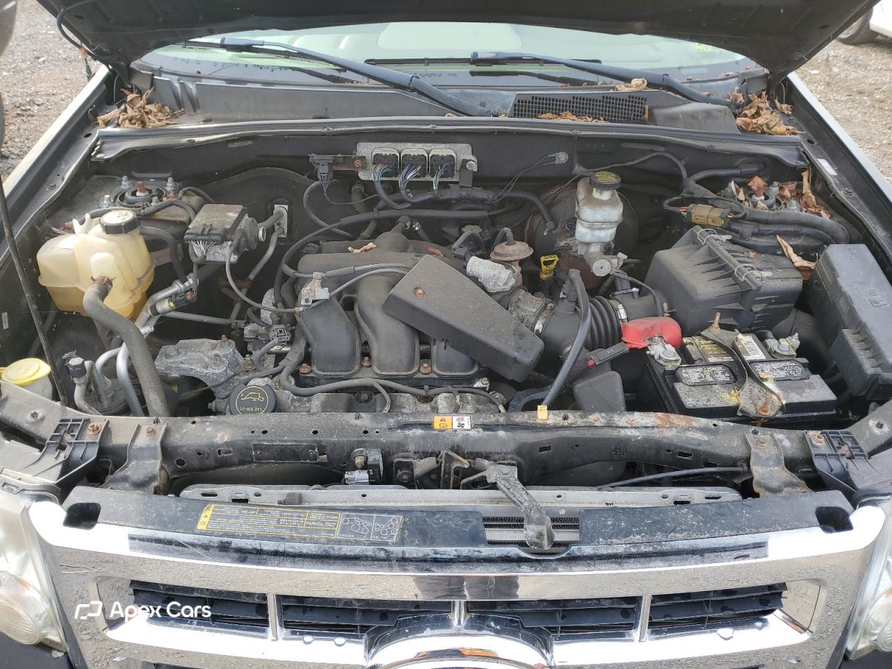 Ford Escape 2008