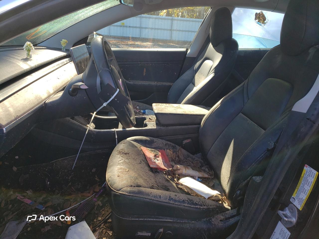 Tesla Model 3 2019