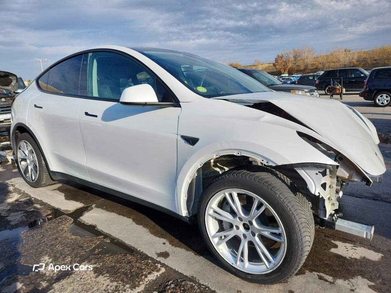 Tesla Model Y 2023