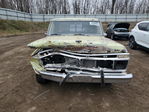 Ford F100 1976