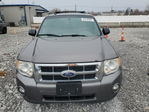 Ford Escape 2012