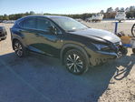 Lexus NX 2021