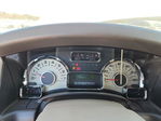 Ford Expedition 2010