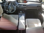 Lexus UX 2019