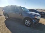 Ford Escape 2012