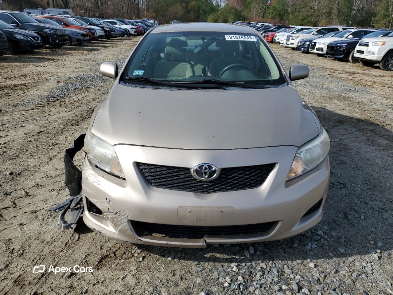 Toyota Corolla 2010