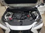 Lexus NX 2025