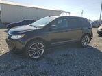 Ford Edge 2014