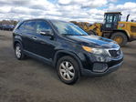 Kia Sorento 2013