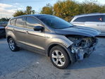 Ford Escape 2013