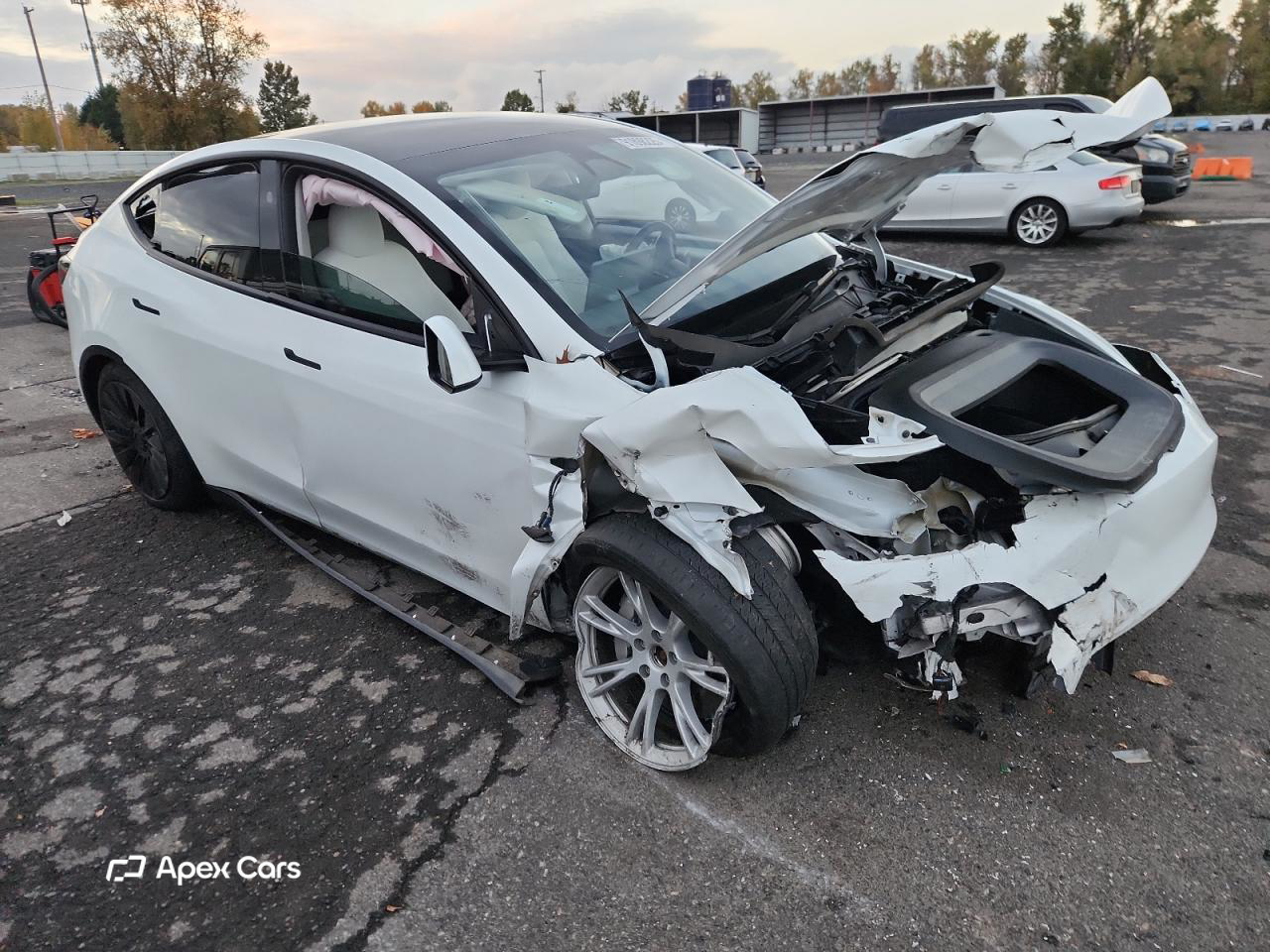 Tesla Model Y 2023