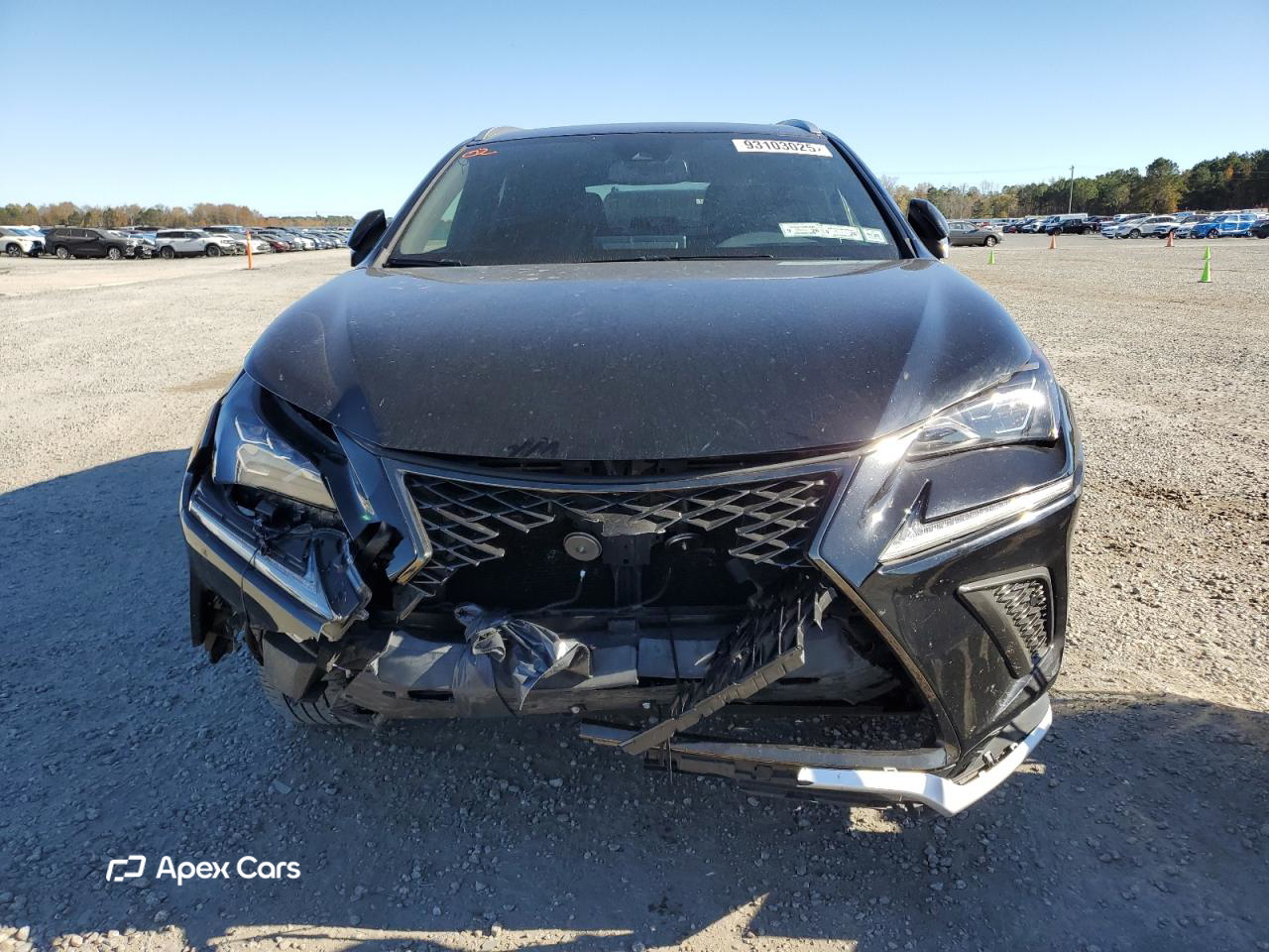 Lexus NX 2021