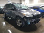 Ford Escape 2013