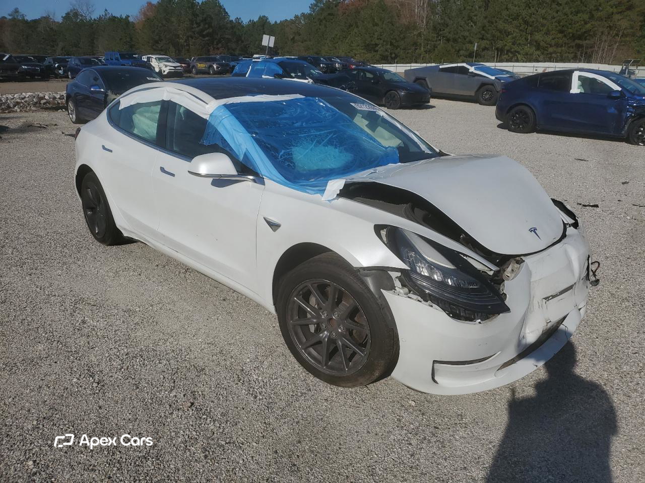 Tesla Model 3 2019