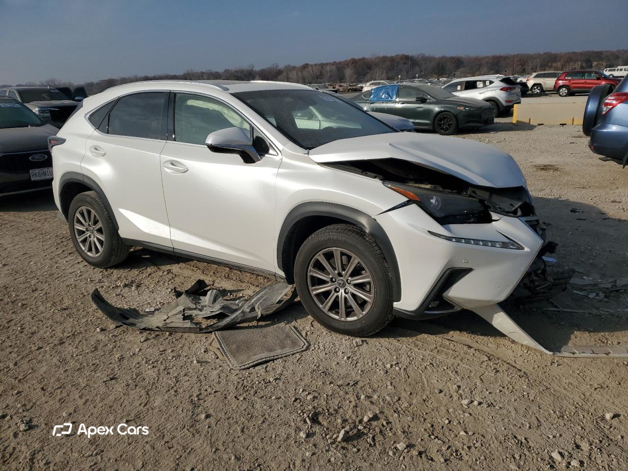 Lexus NX 2019