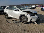 Lexus NX 2019
