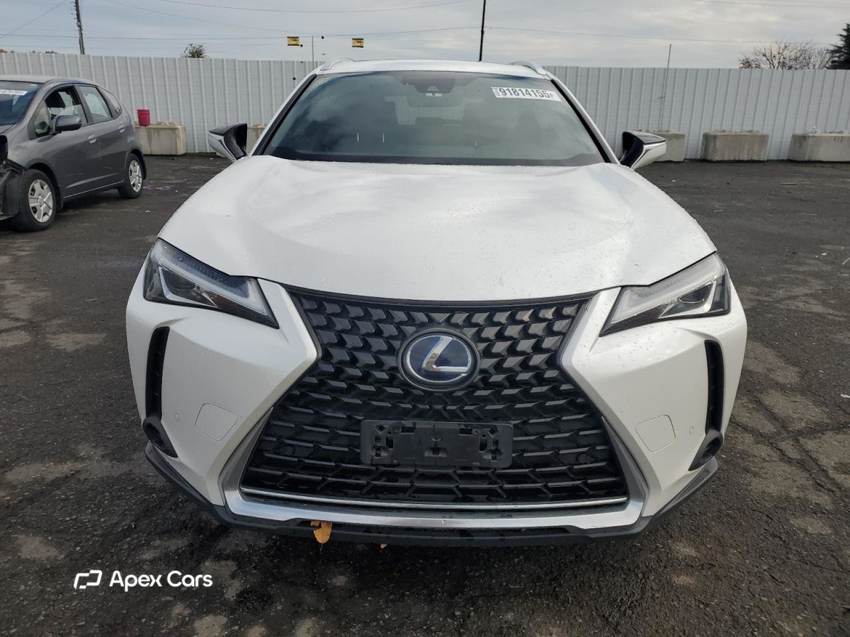 Lexus UX 2019