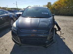 Ford Escape 2016