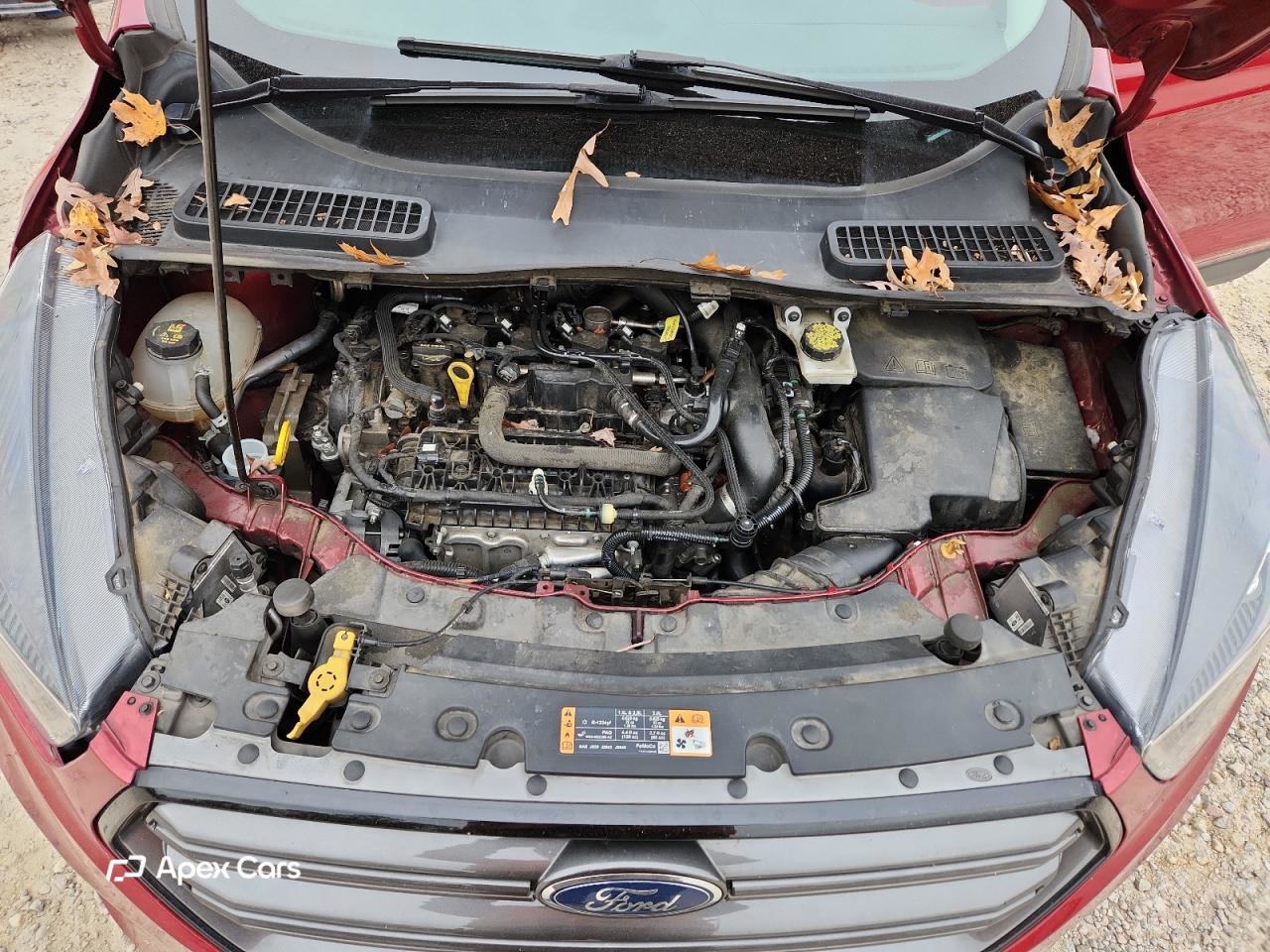 Ford Escape 2019