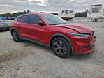 Ford Mustang 2022