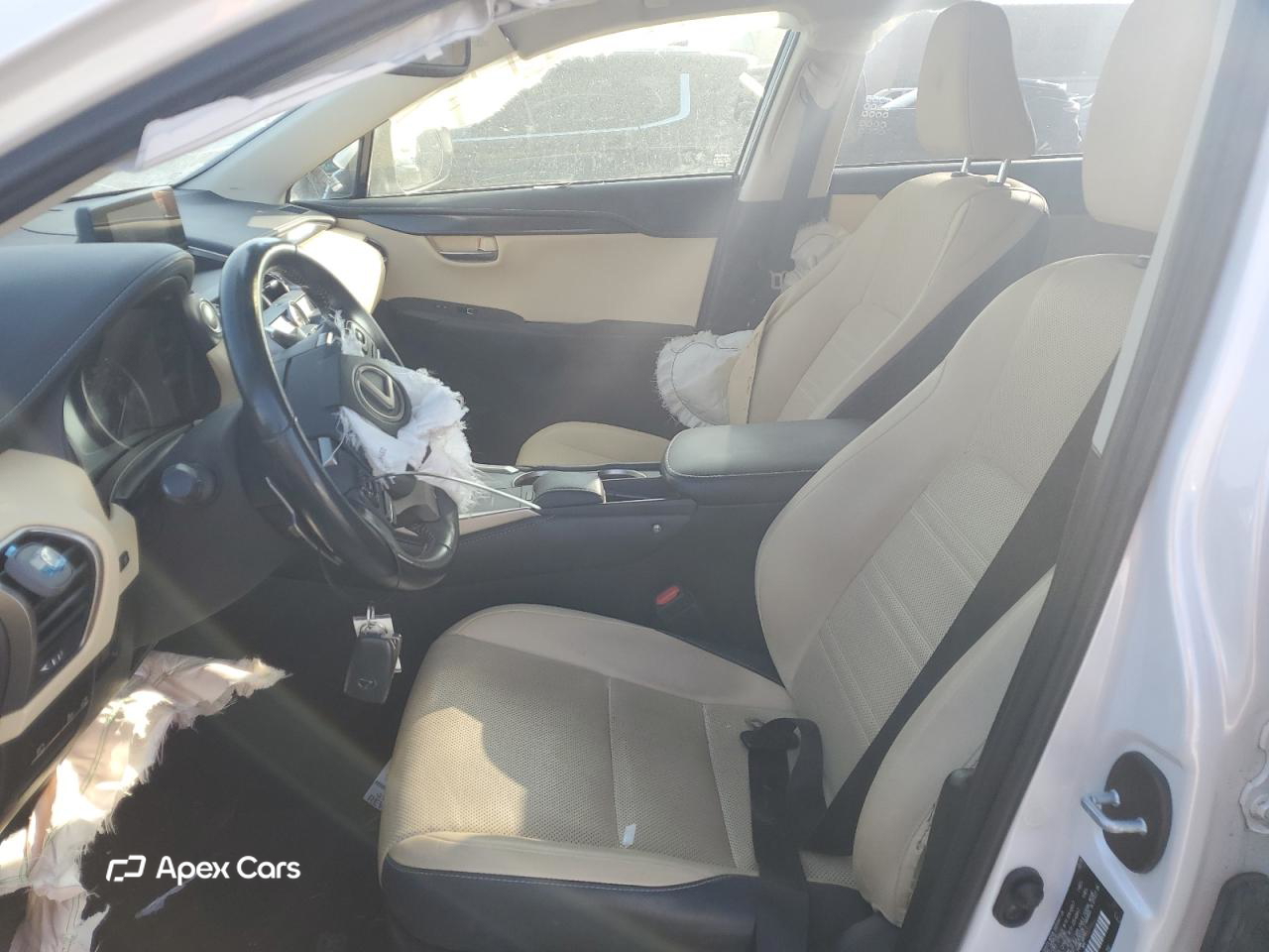 Lexus NX 2019