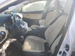 Lexus NX 2019