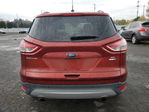 Ford Escape 2016