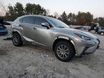 Lexus NX 2020