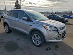 Ford Escape 2013