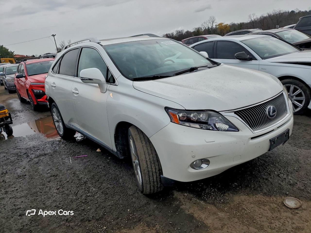 Lexus RX 2011