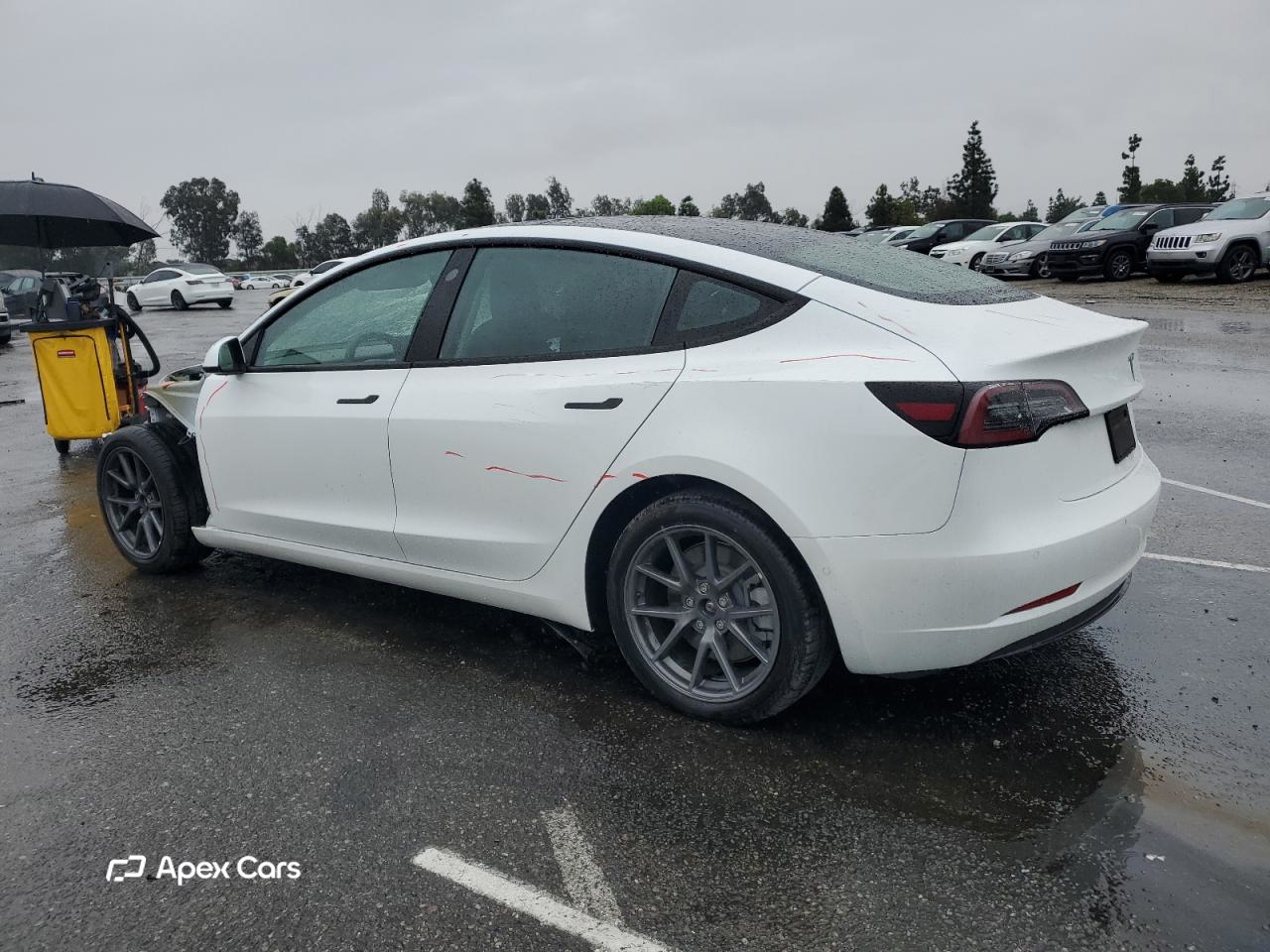 Tesla Model 3 2022
