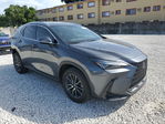 Lexus NX 2024