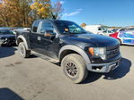 Ford F-150 2010