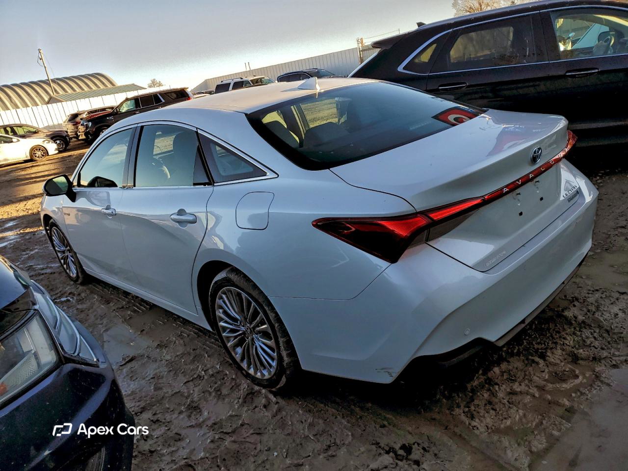 Toyota Avalon 2021