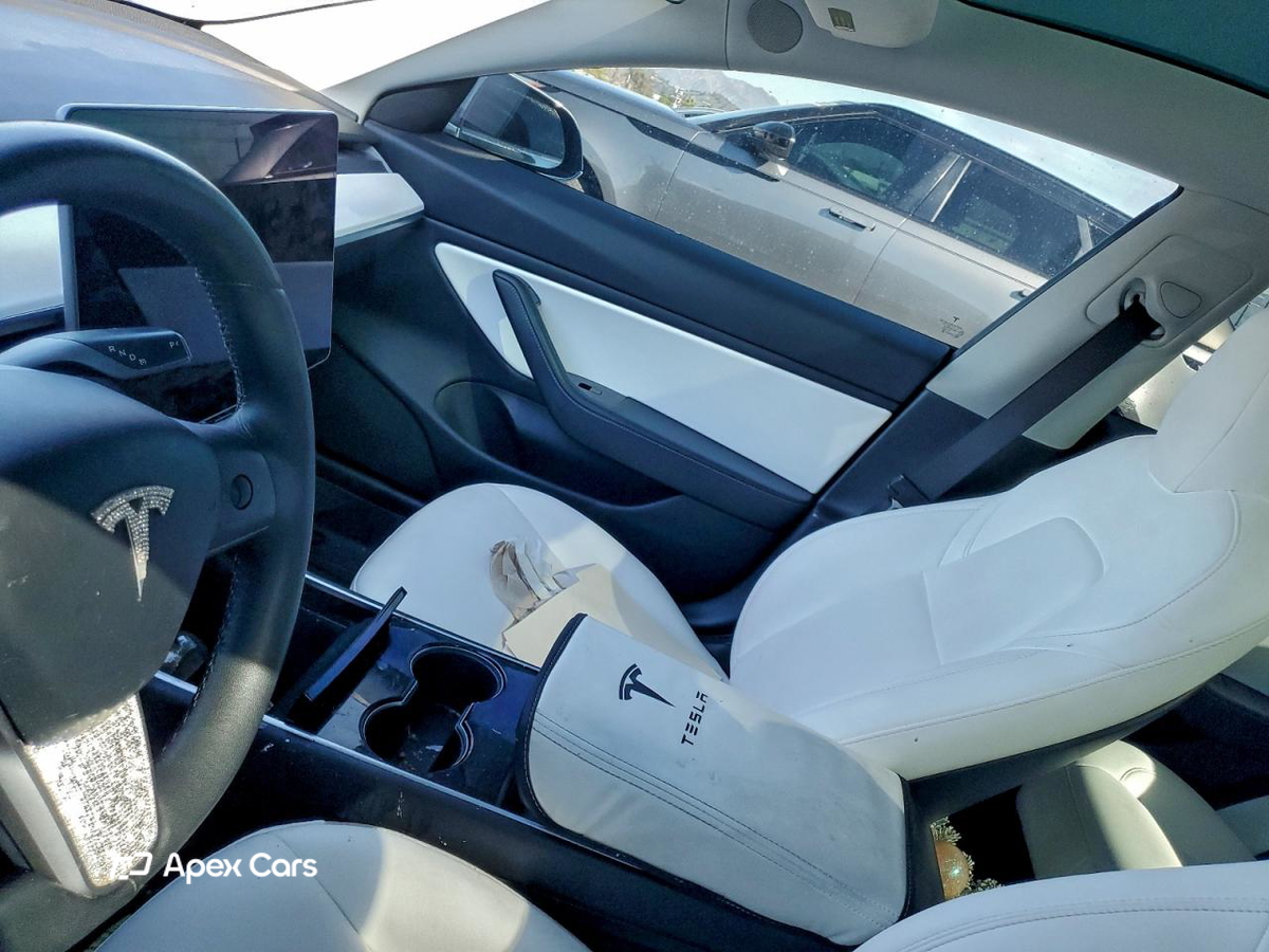 Tesla Model 3 2019