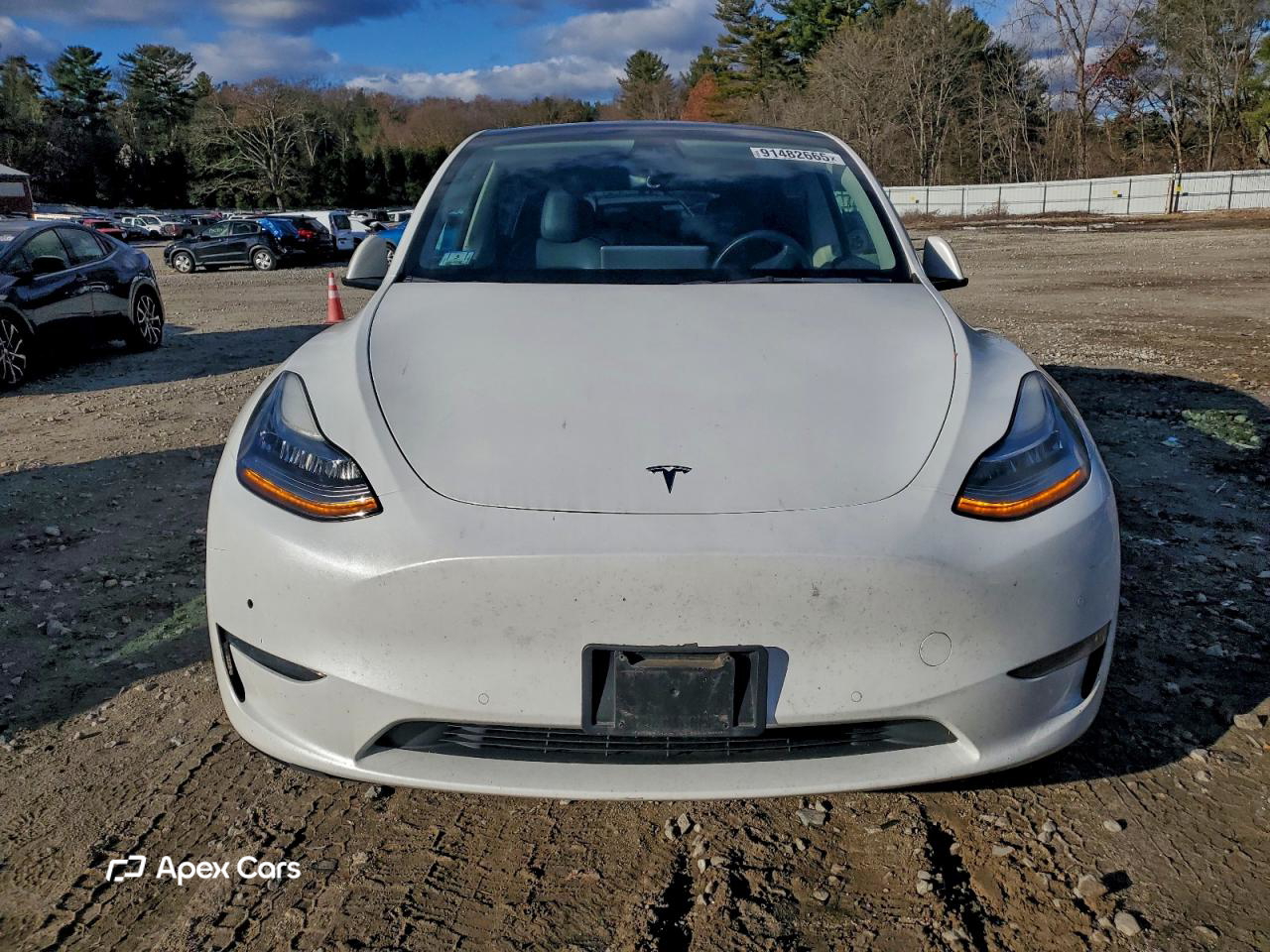 Tesla Model Y 2022