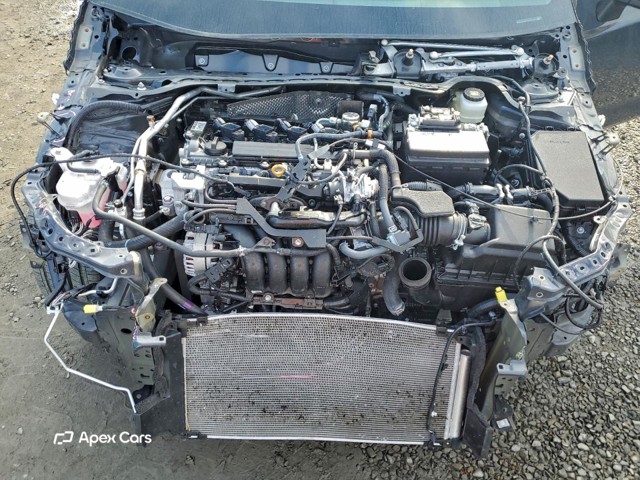 Toyota Corolla 2025