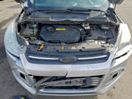 Ford Escape 2013