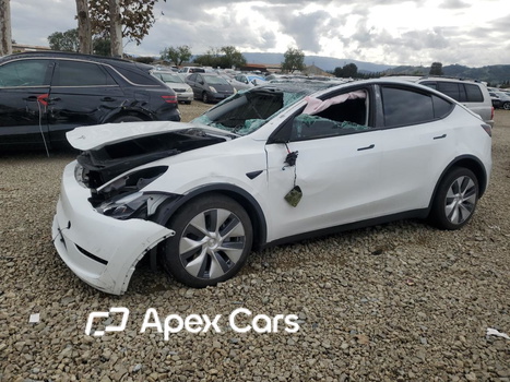 Tesla Model Y 2023 - Image 1 of 13