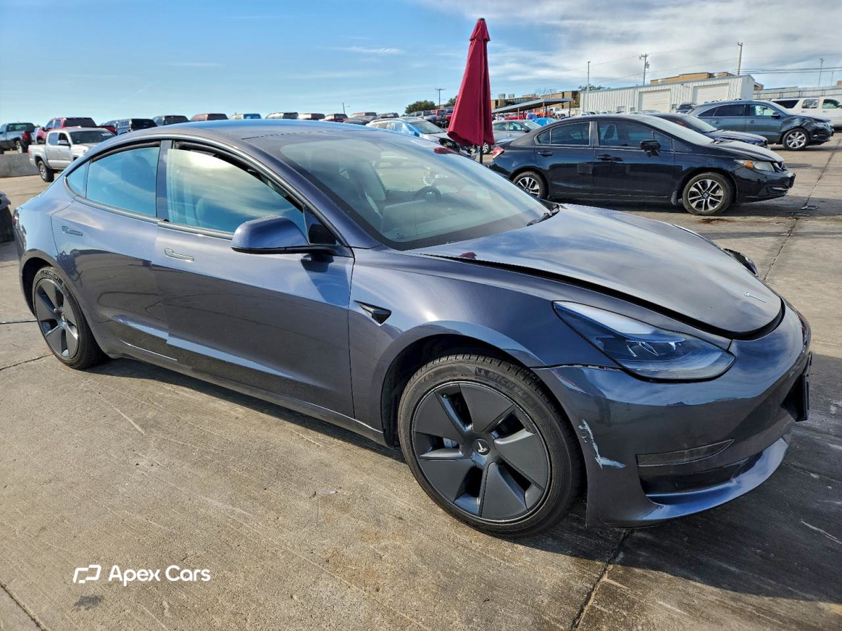 Tesla Model 3 2021