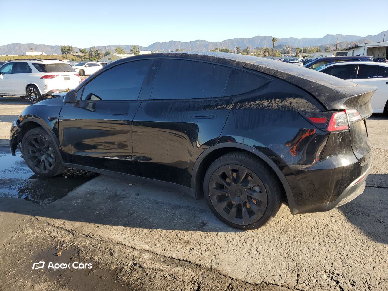 Tesla Model Y 2021