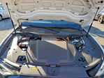 Audi Q8 2024
