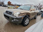 Hyundai Santa Fe 2004