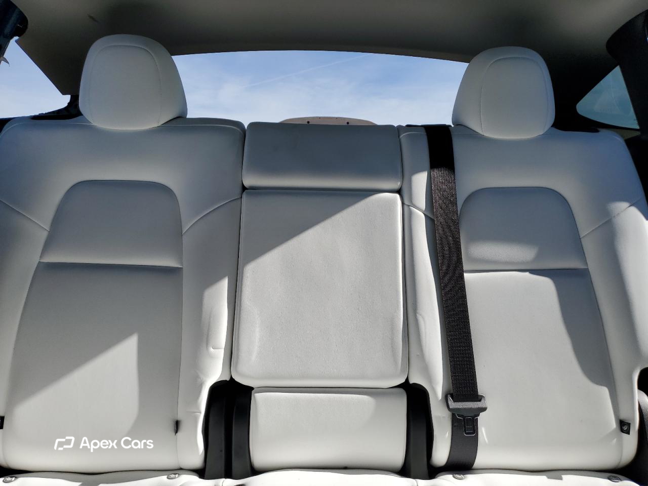 Tesla Model Y 2025