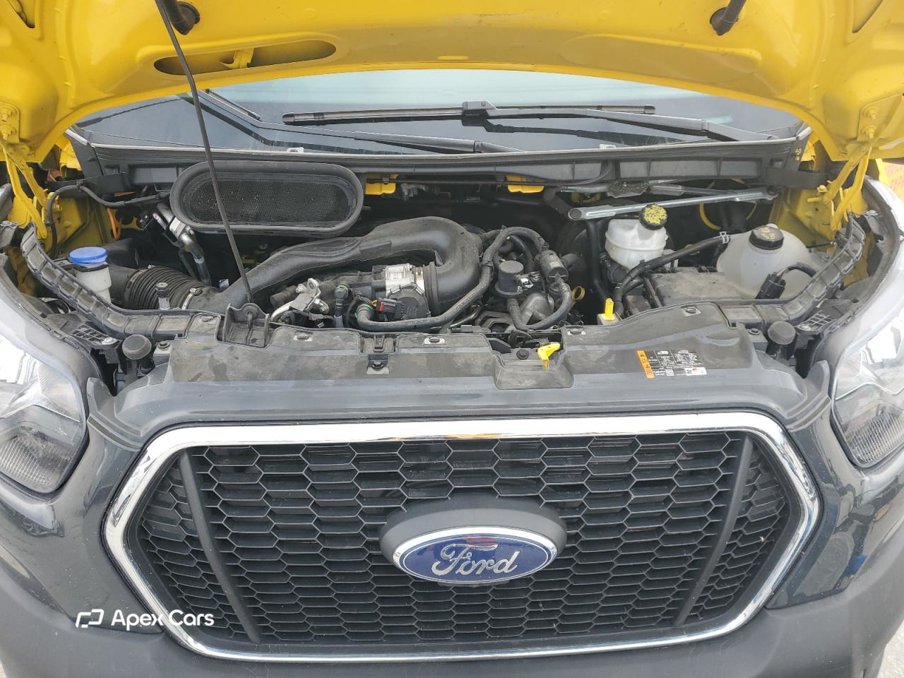 Ford  2024