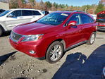 Lexus RX 2011