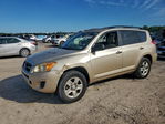 Toyota RAV 4 2010